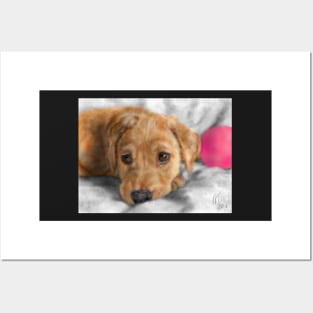 Sweet Golden Retriever Puppy Posters and Art